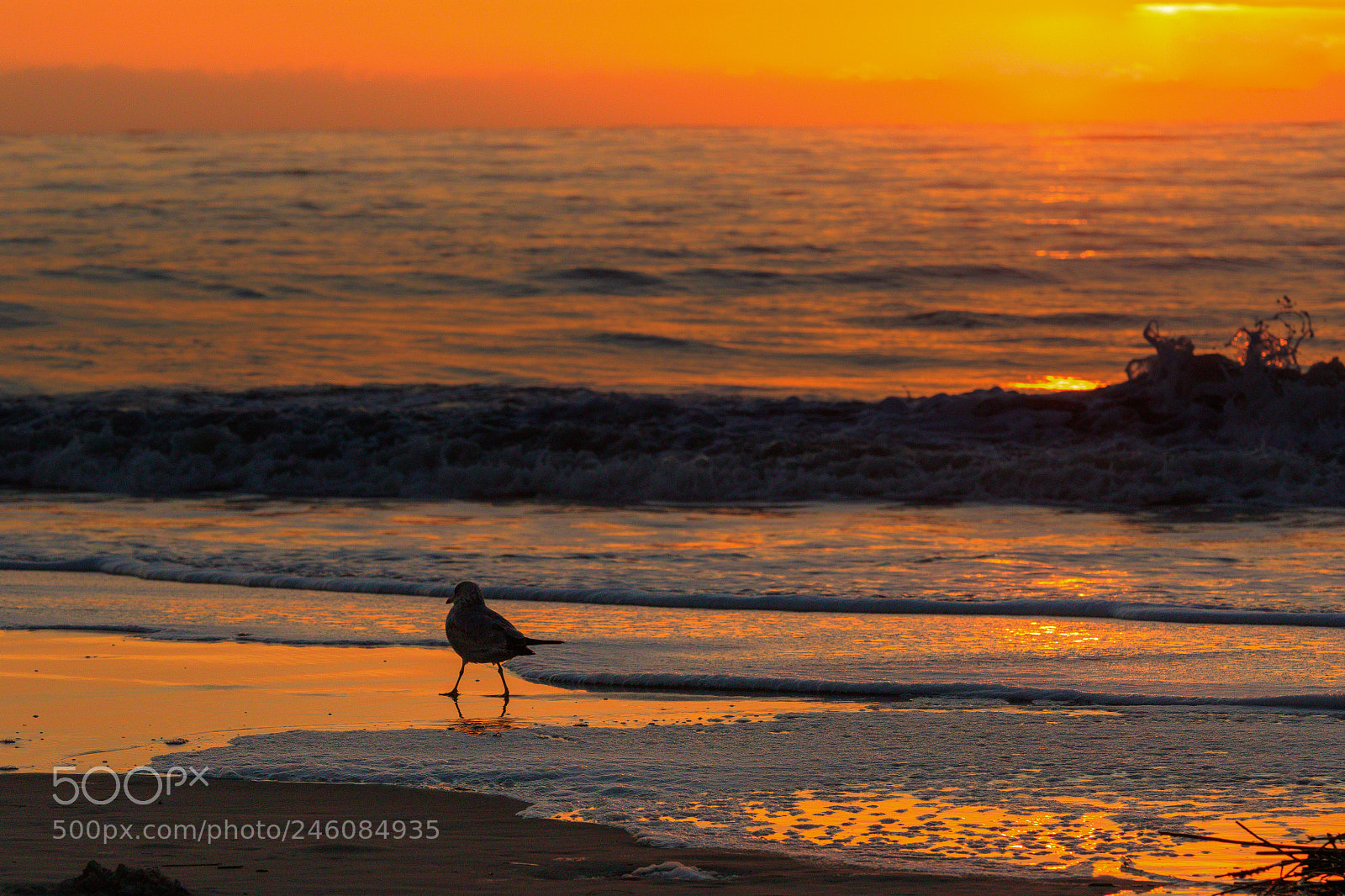 Canon EOS 7D Mark II sample photo. On the beach photography