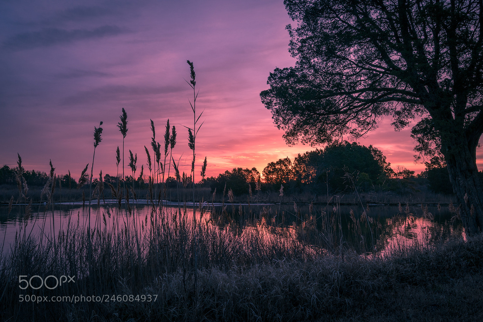 Sony a7R III sample photo. Cove at sunrise photography