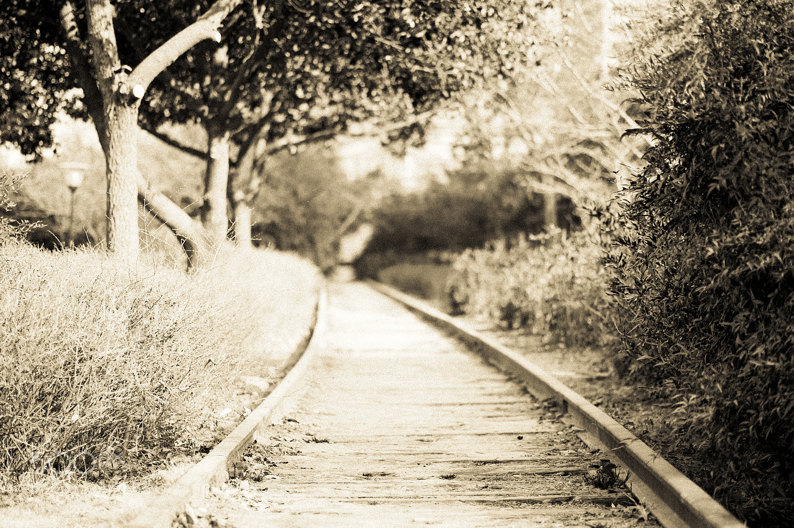 Nikon D700 sample photo. Untitled photography
