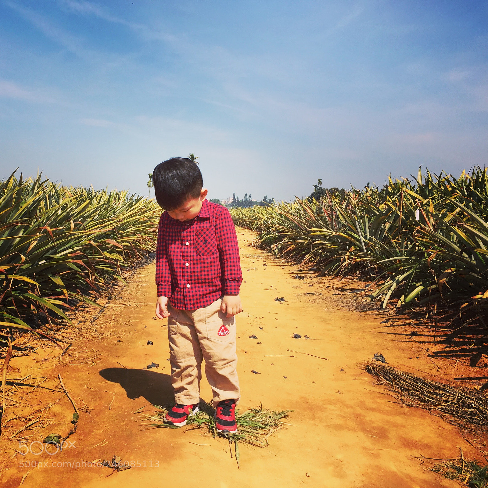 Apple iPhone 6 sample photo. 這是我的姪孫，小朋友的叛逆期，拒絕看鏡頭 photography