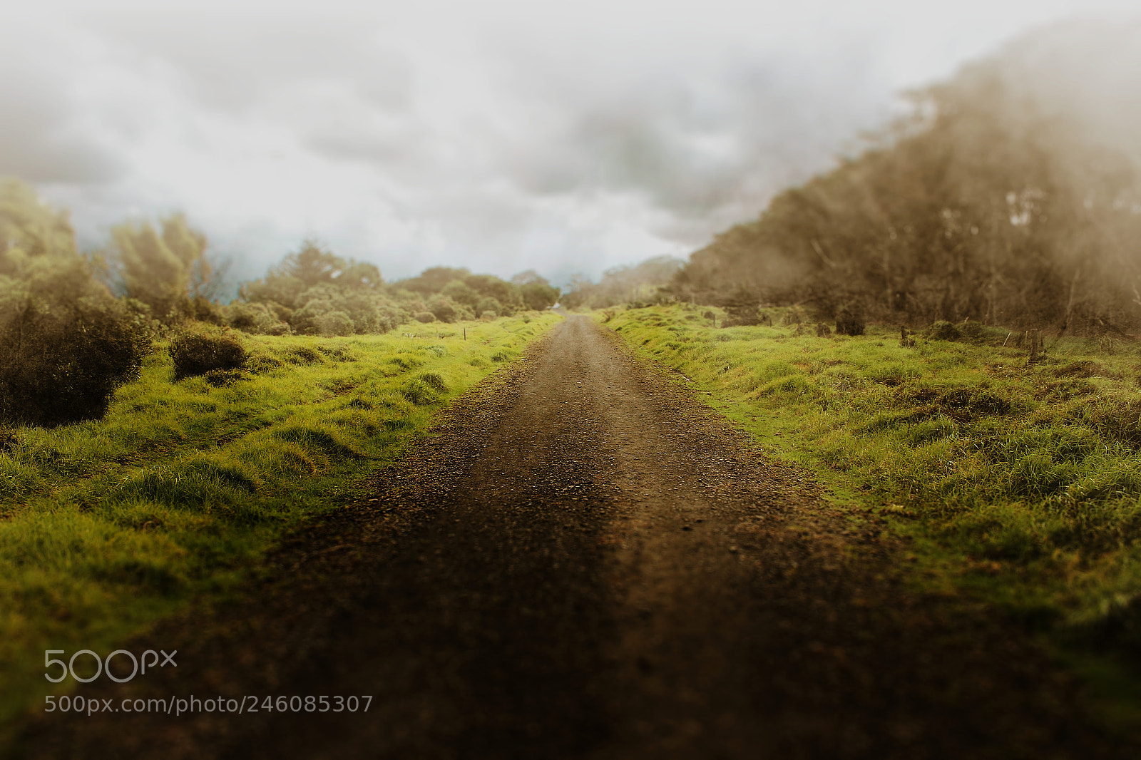 Canon EOS 600D (Rebel EOS T3i / EOS Kiss X5) sample photo. The long road photography