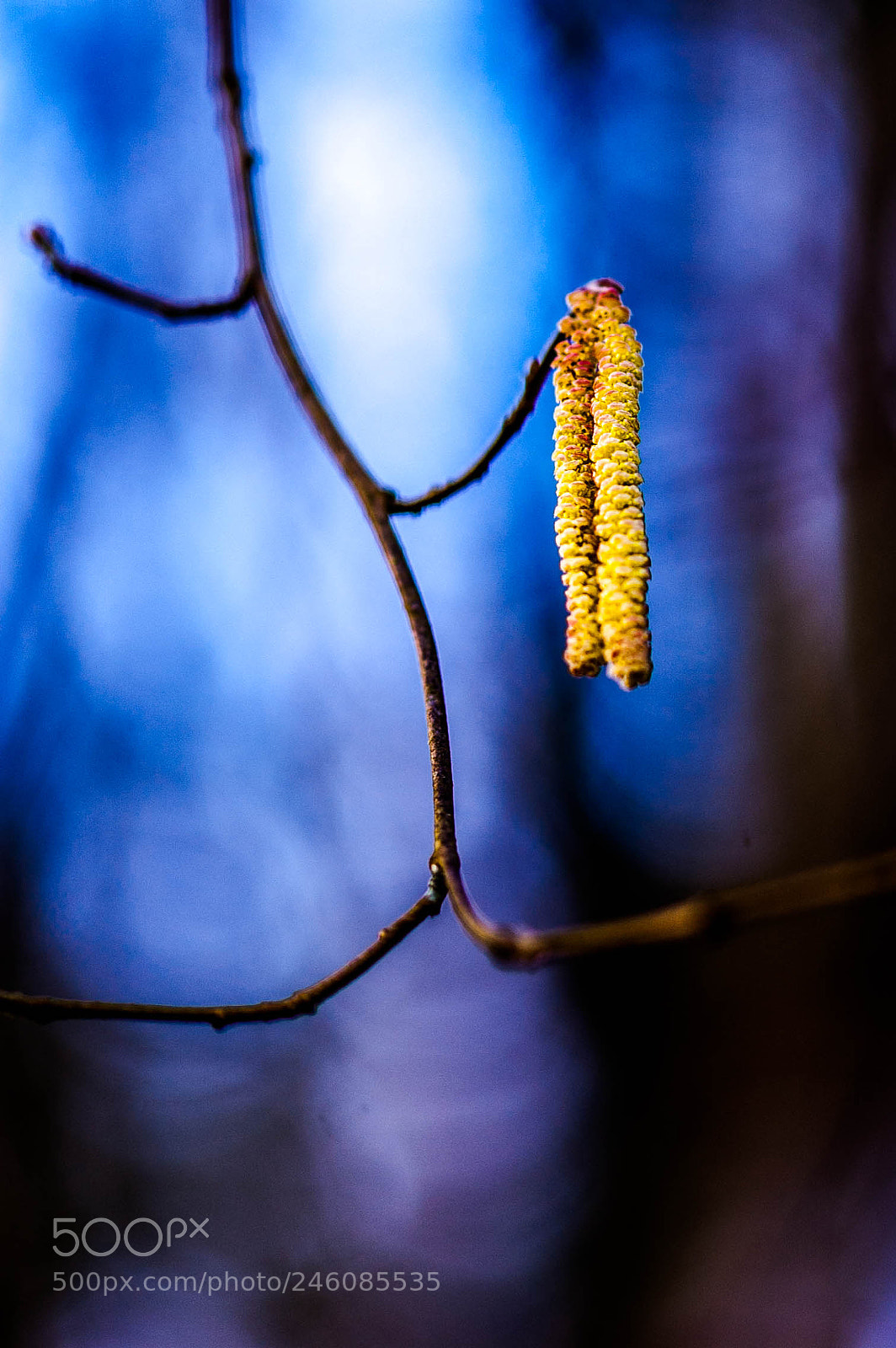 Nikon D50 sample photo. Light in the dark photography