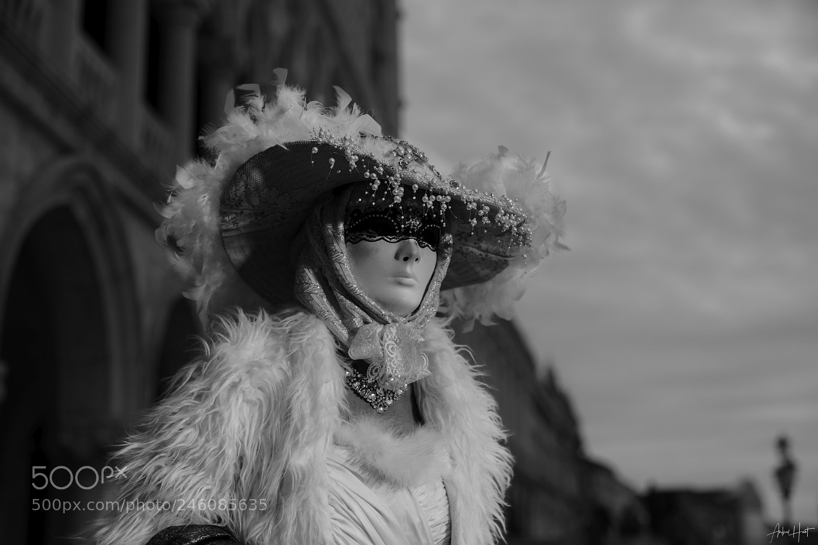 Sony a9 sample photo. White widow - venice photography