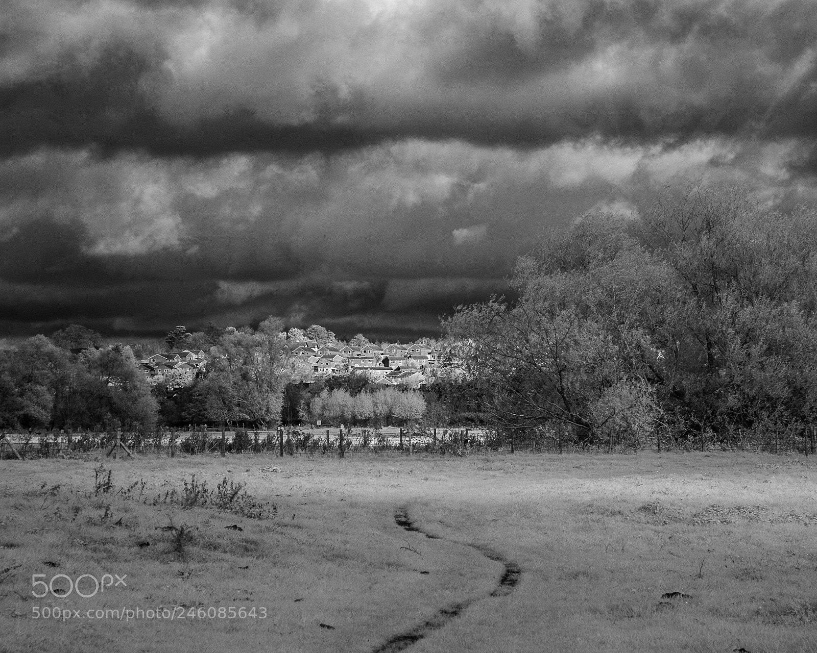 Nikon D700 sample photo. Stormy sudbury photography