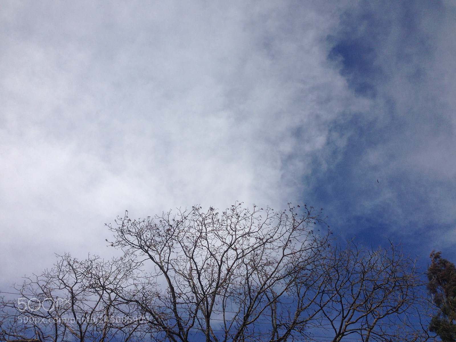 Apple iPhone 5 sample photo. Untitled photography