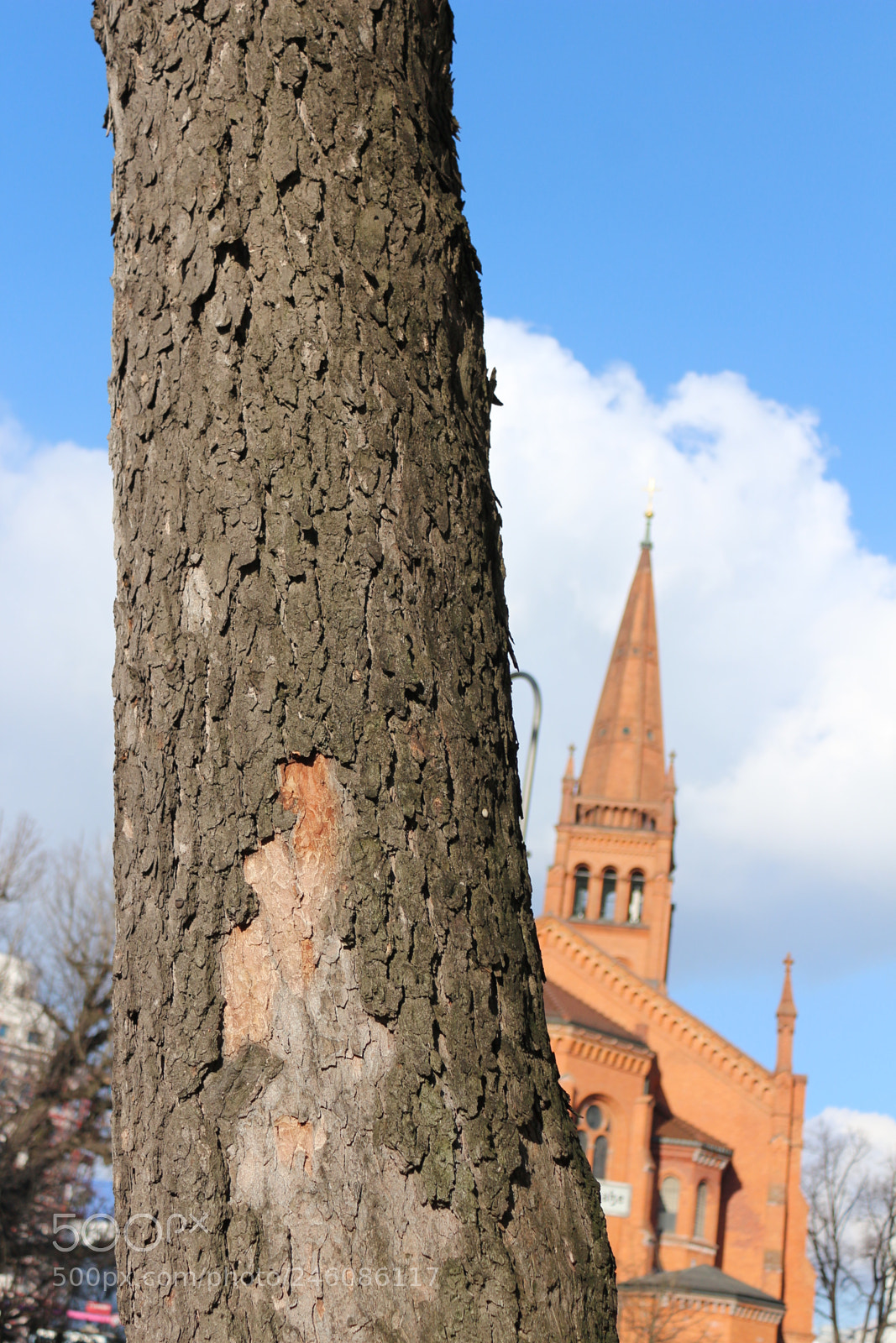 Canon EOS 650D (EOS Rebel T4i / EOS Kiss X6i) sample photo. Earth's curvature photography