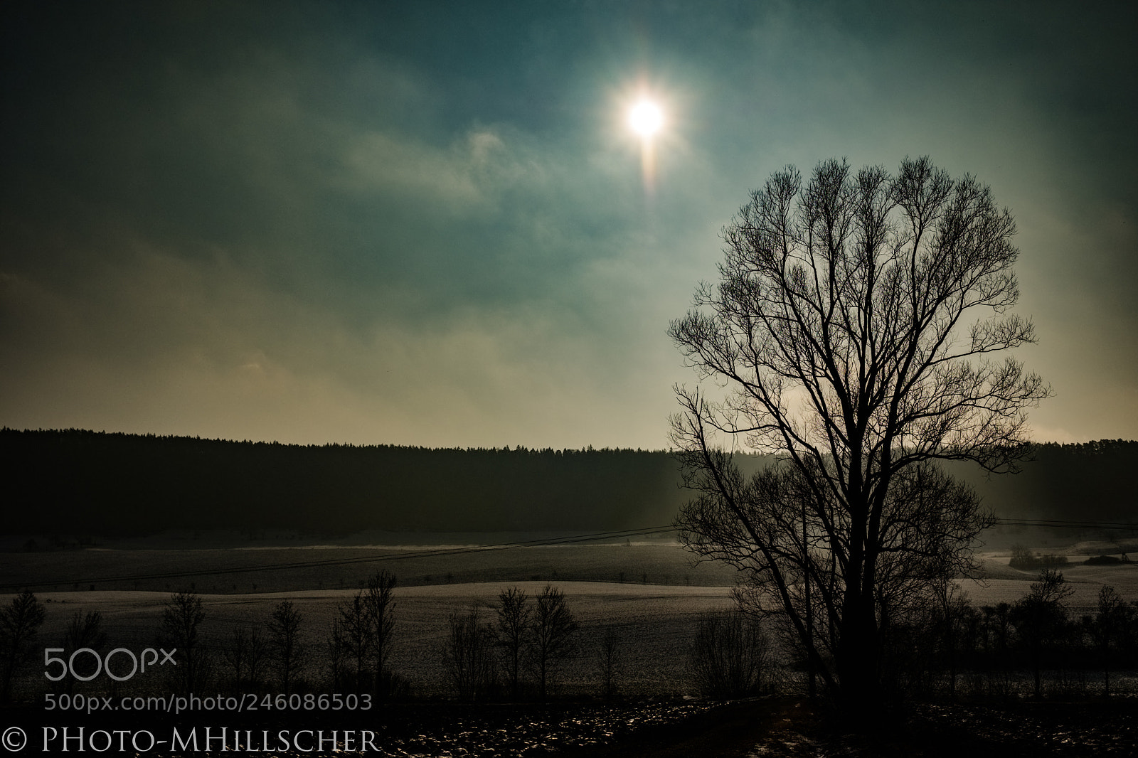 Fujifilm X-T2 sample photo. Winter sun photography