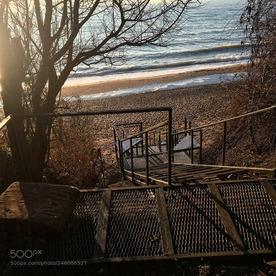 Apple iPhone SE sample photo. Step to the beach photography