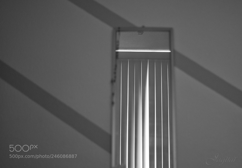 Nikon D810 sample photo. Lines photography