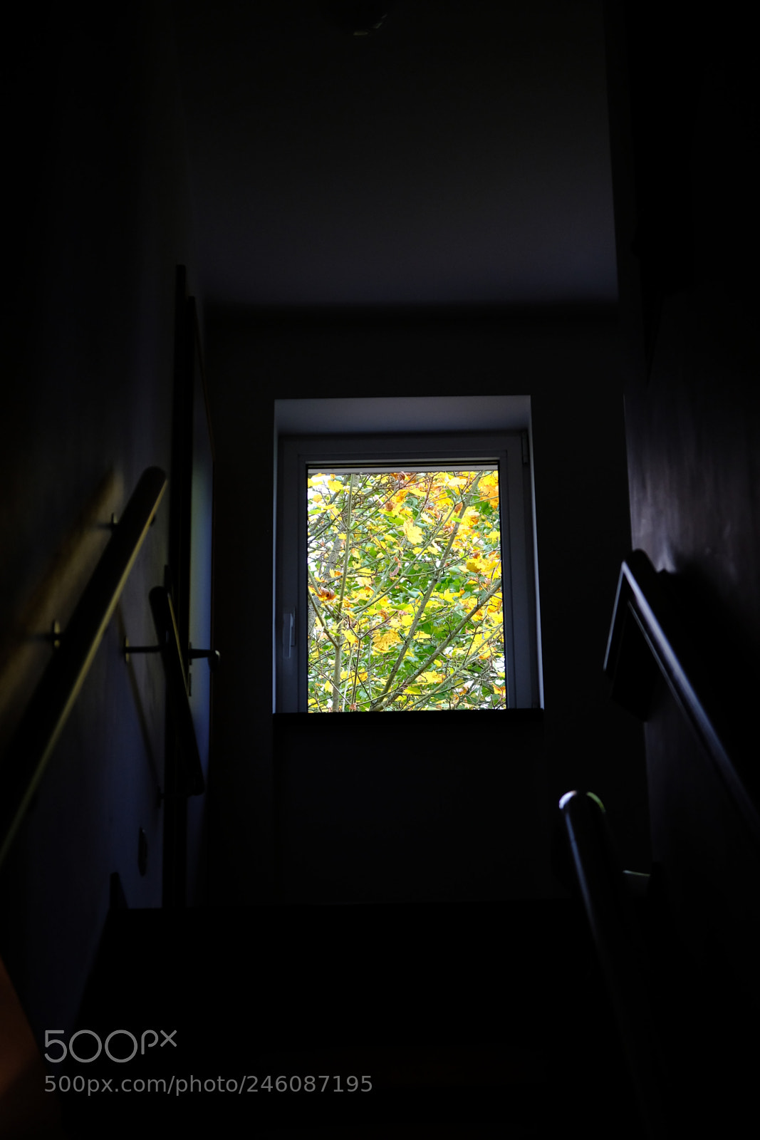 Fujifilm X-T20 sample photo. There's always a way photography