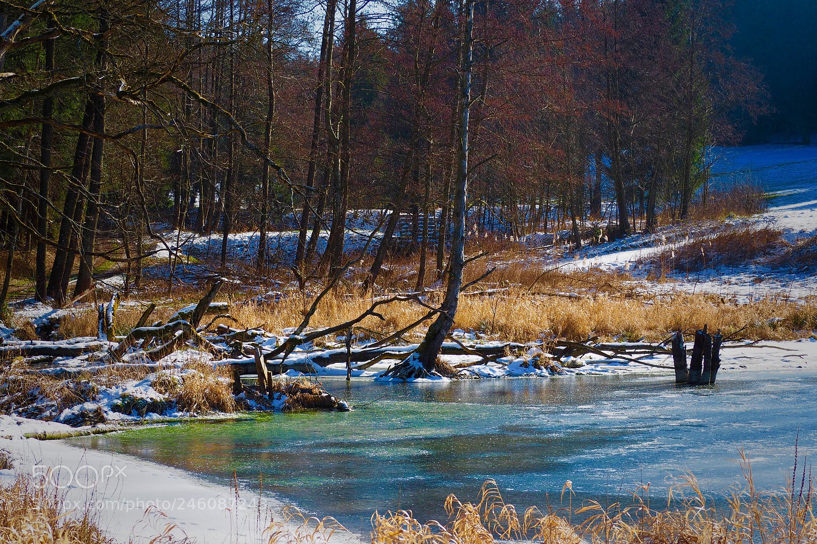 Olympus OM-D E-M5 II sample photo. Itzlitshofen lake photography