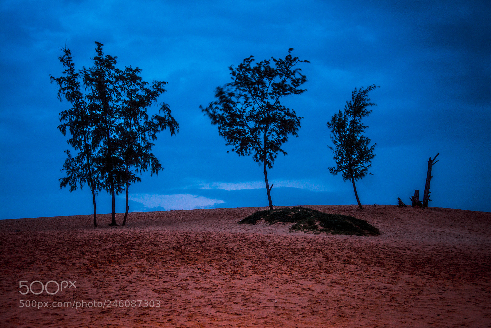 Nikon D5200 sample photo. Red sands photography