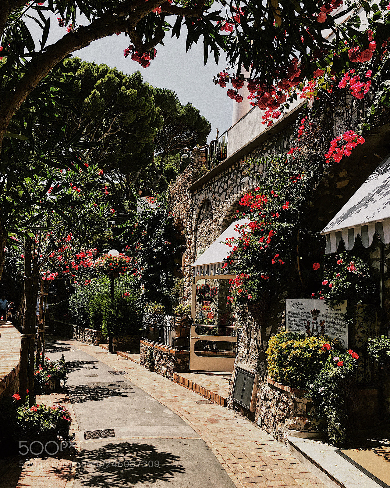 Apple iPhone 6s sample photo. Capri, 2016. photography