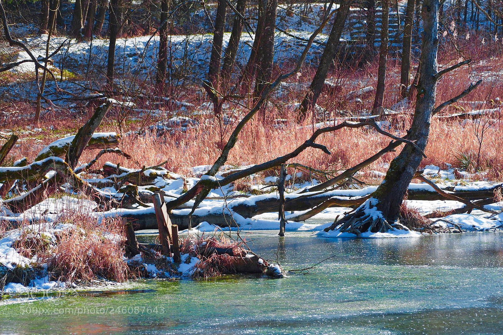 Olympus OM-D E-M5 II sample photo. Ice cold lake photography