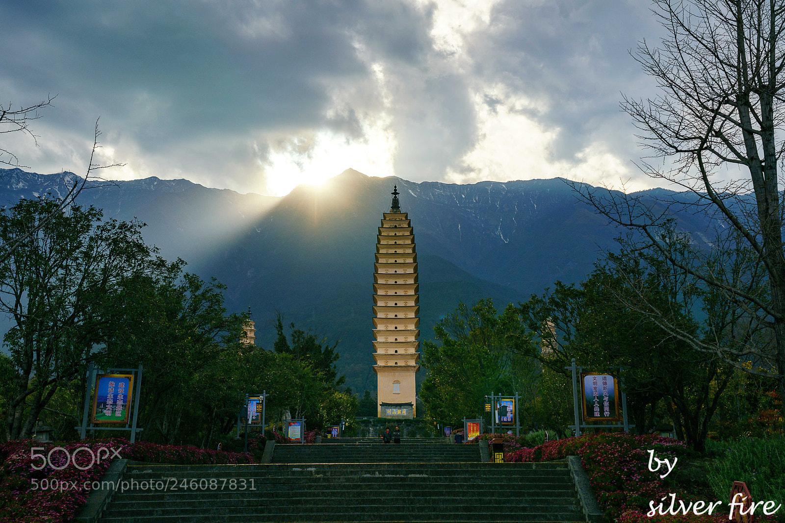 Sony a7R II sample photo. Untitled photography