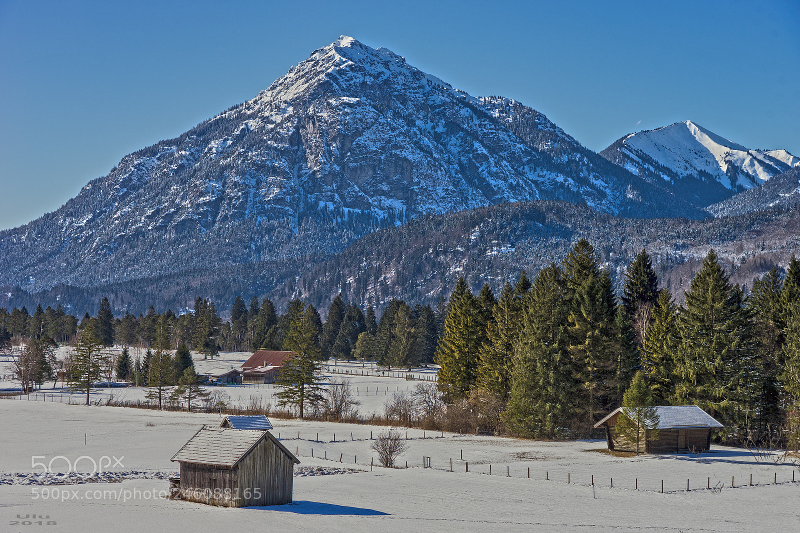 Sony a7 II sample photo. Wintertraum photography