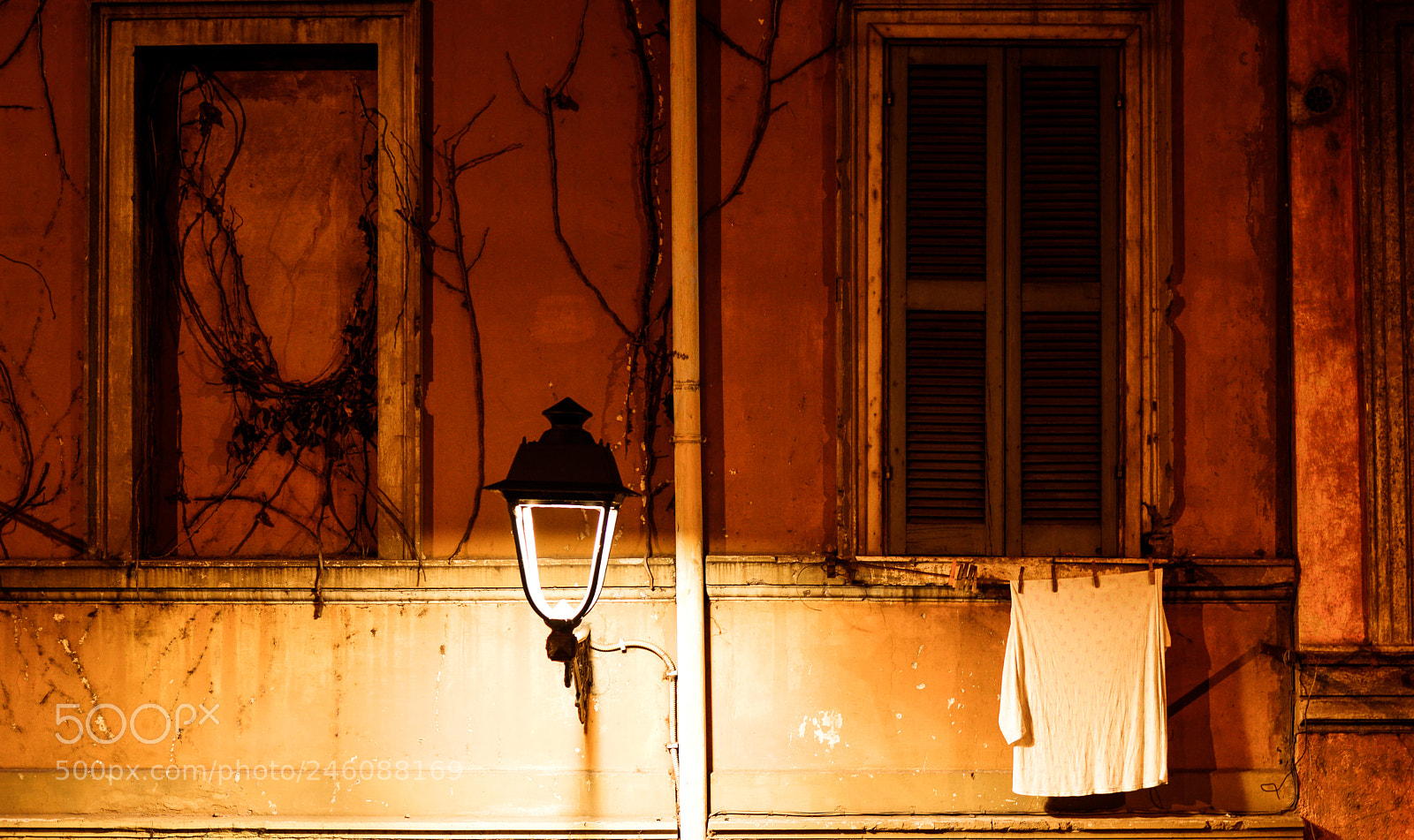 Nikon D610 sample photo. Midnight in street of photography