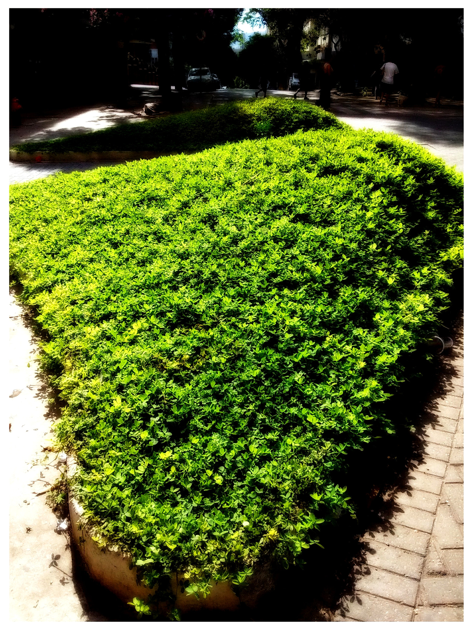 Motorola Moto E with 4G LTE (2nd Gen) sample photo. ... photography