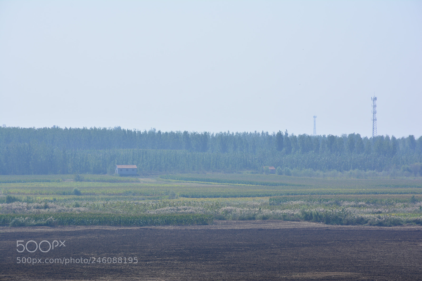 Nikon D7100 sample photo. 田 photography
