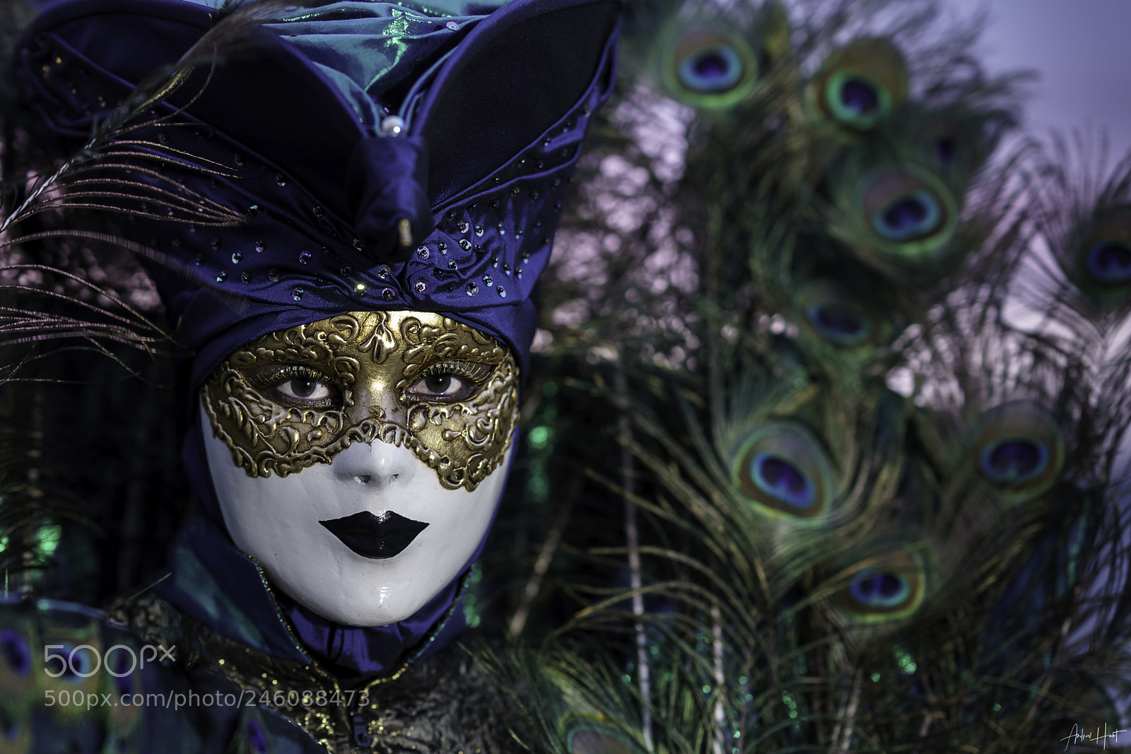 Sony a7R II sample photo. Venetian peacock princess photography