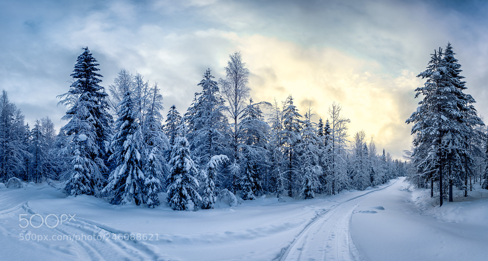 Pentax K-1 sample photo. #realwinter pt.2 photography