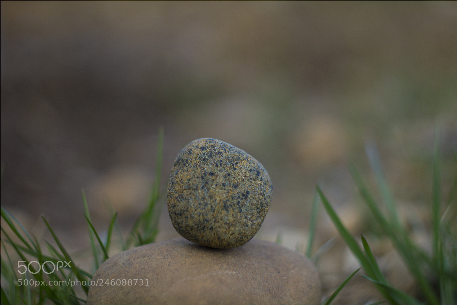 Canon EOS 1200D (EOS Rebel T5 / EOS Kiss X70 / EOS Hi) sample photo. Close up rock photography