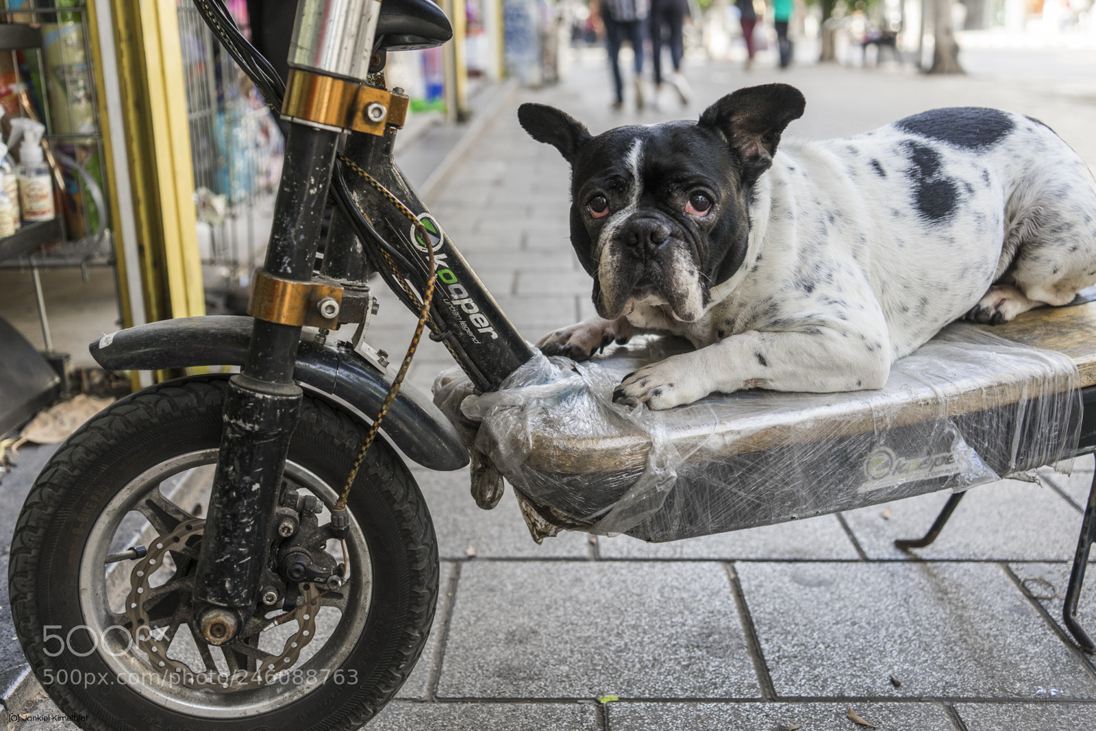 Sony a7 II sample photo. Can't wait to ride photography