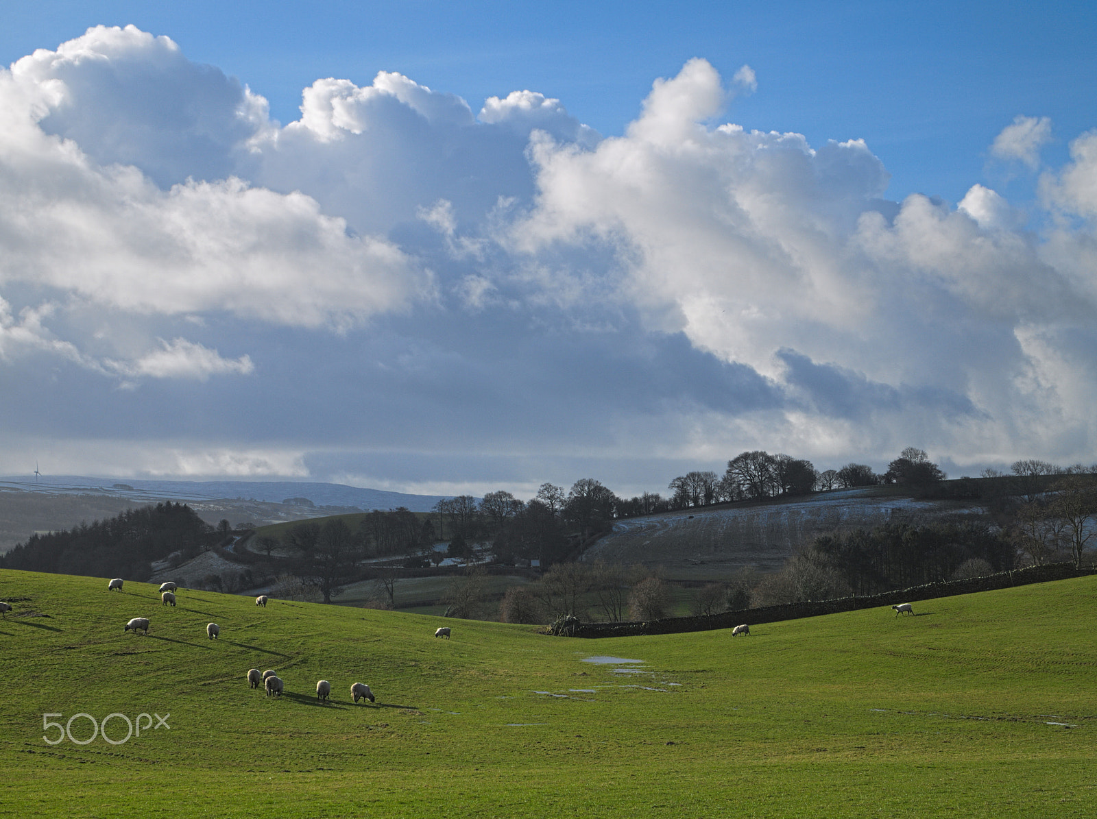 Leica Digilux 3 sample photo. Farmland near gressingham, lancashire, england. photography