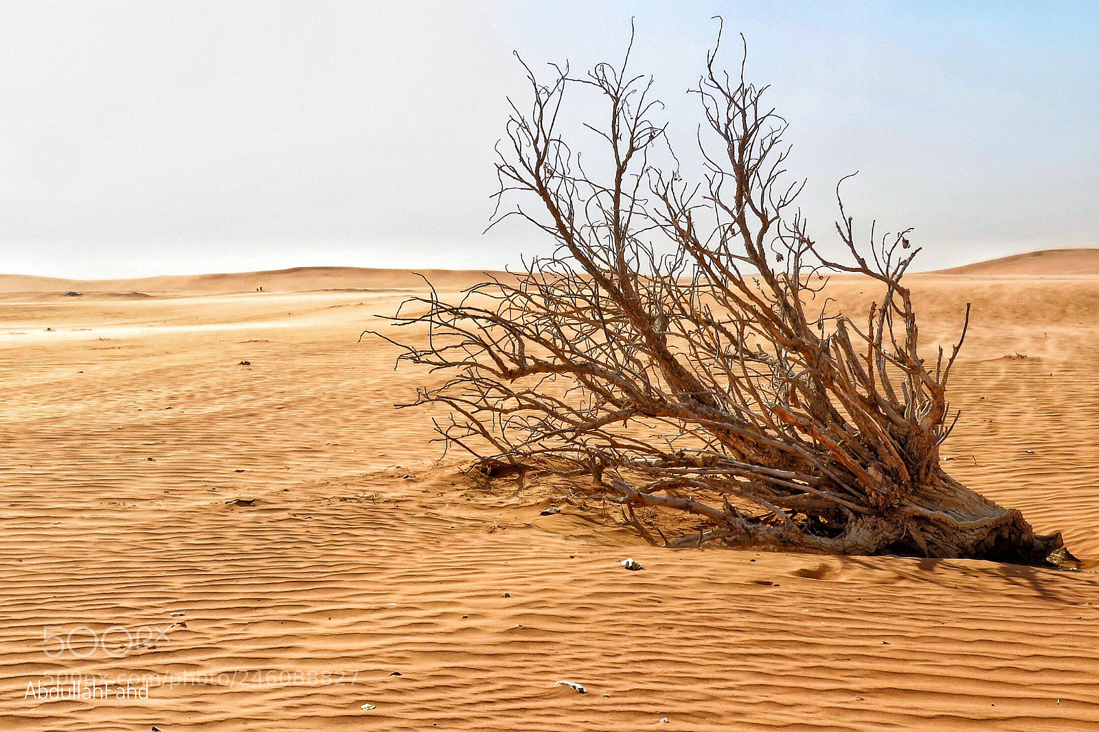 Canon PowerShot SX60 HS sample photo. Desertification photography