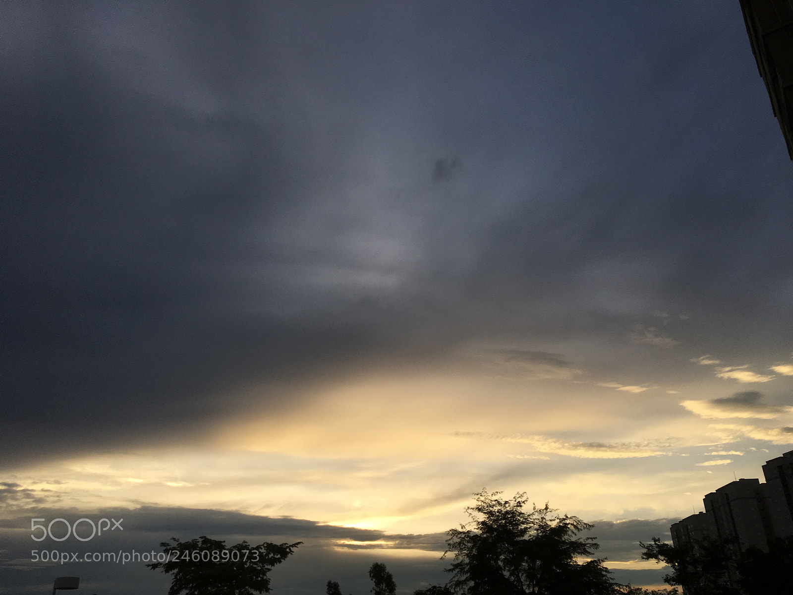 Apple iPhone 6s sample photo. Untitled photography