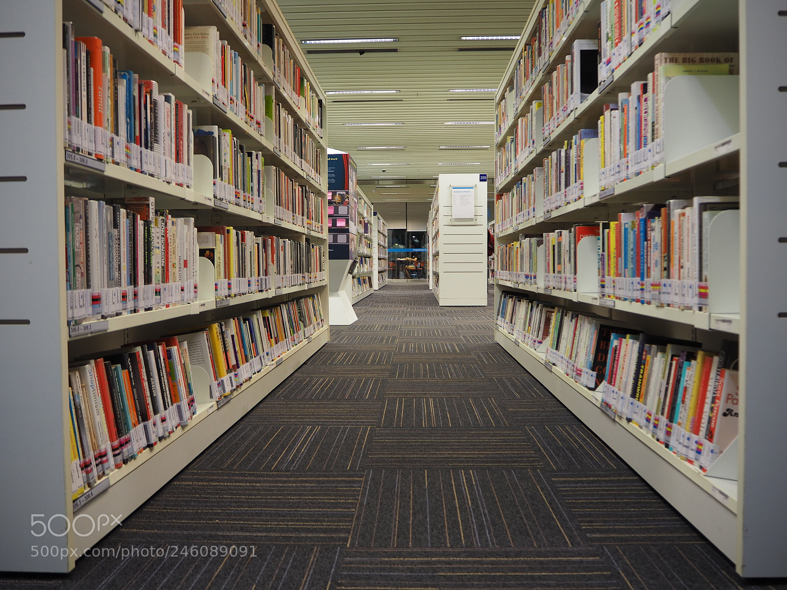 Olympus OM-D E-M10 II sample photo. Book shelves photography