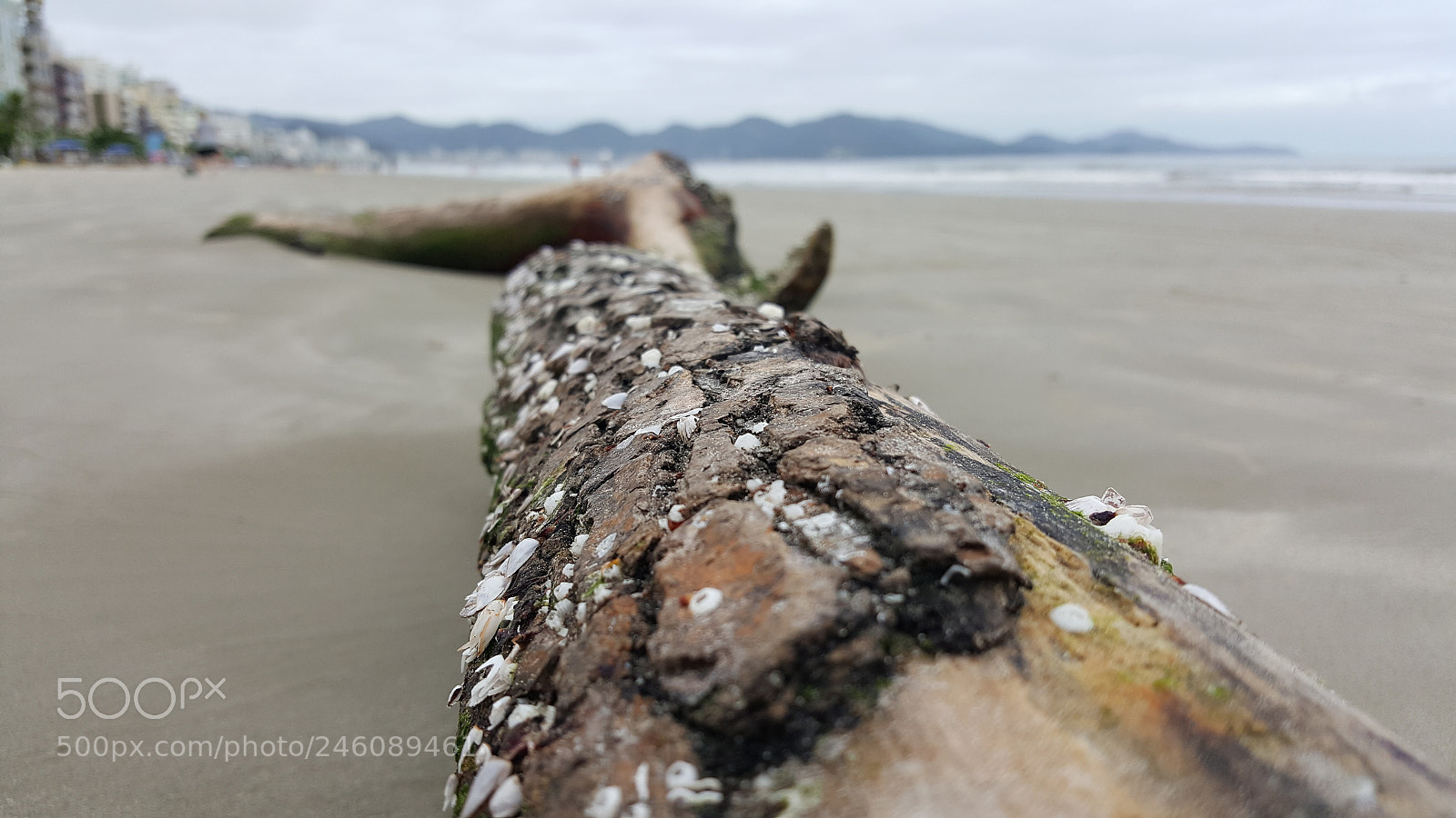 Samsung GALAXY S6 edge sample photo. Untitled photography