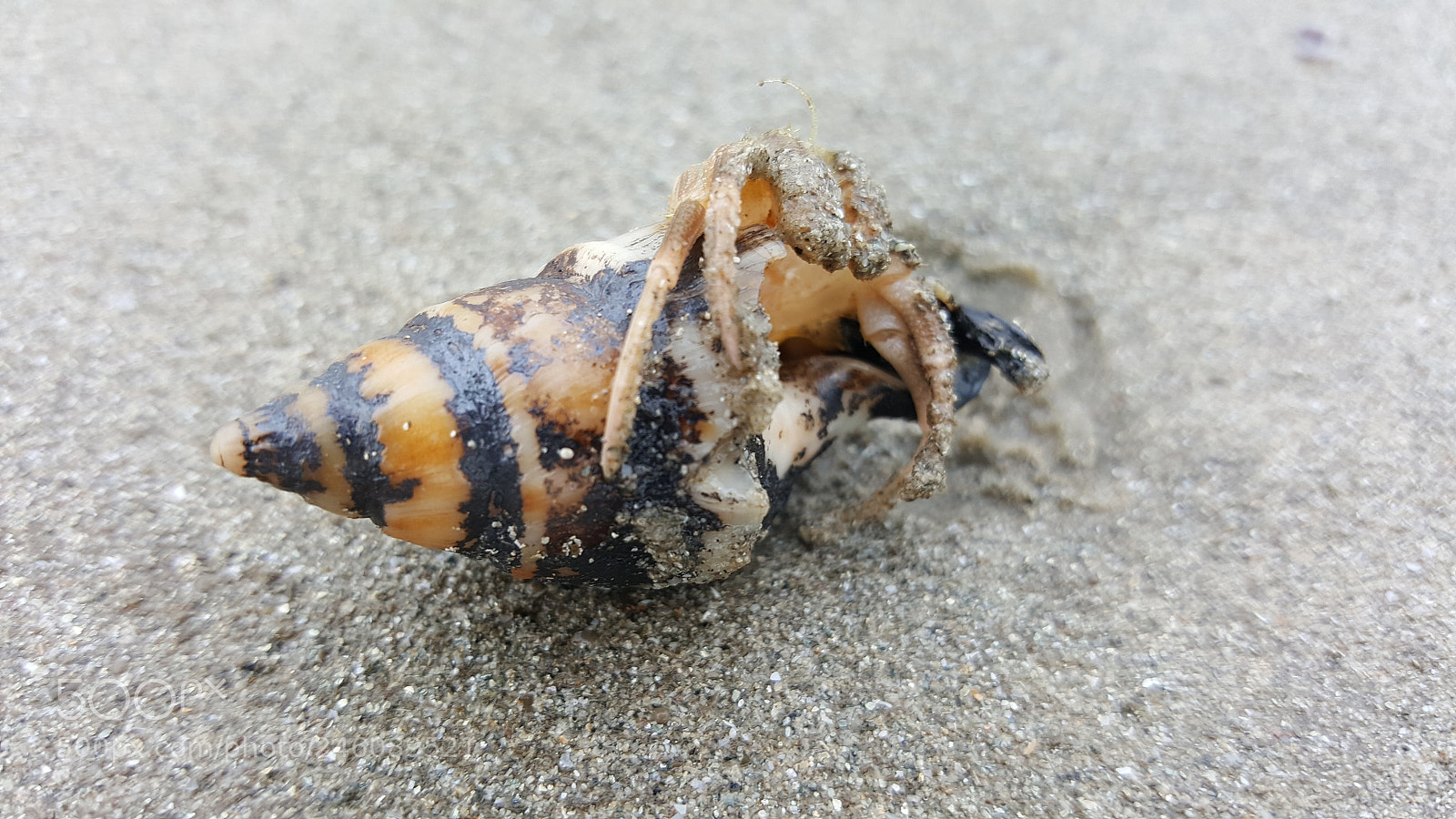 Samsung GALAXY S6 edge sample photo. Untitled photography