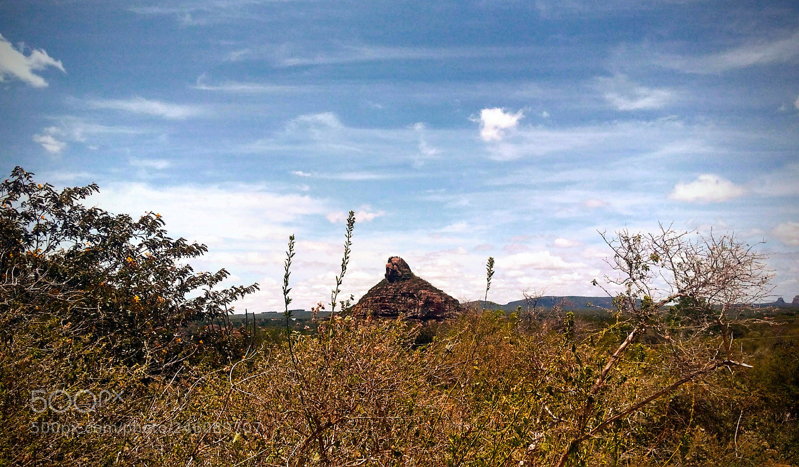 Motorola Moto G Play sample photo. Untitled photography