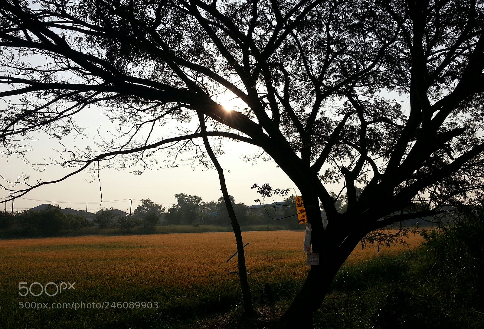 Samsung Galaxy Note2 sample photo. Untitled photography