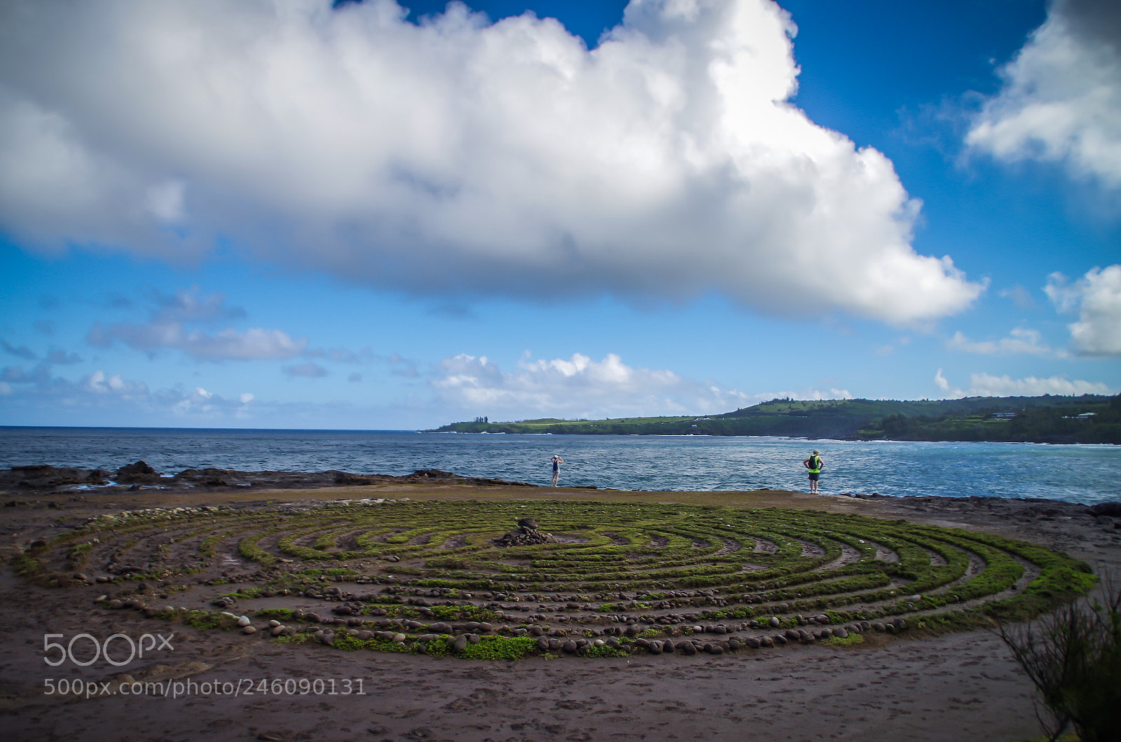 Pentax K-30 sample photo. Untitled photography