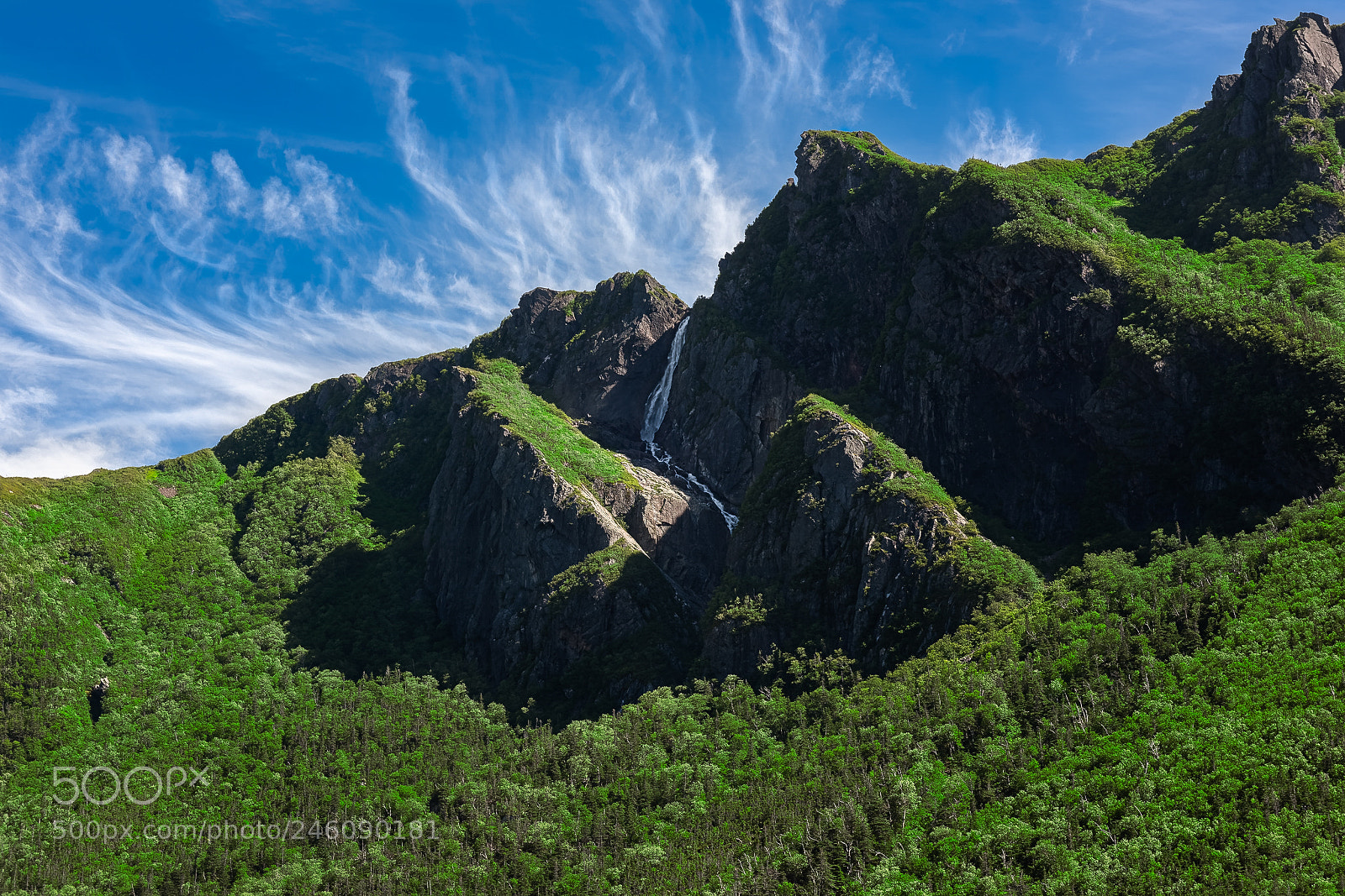 Nikon D810 sample photo. Waterfall above photography