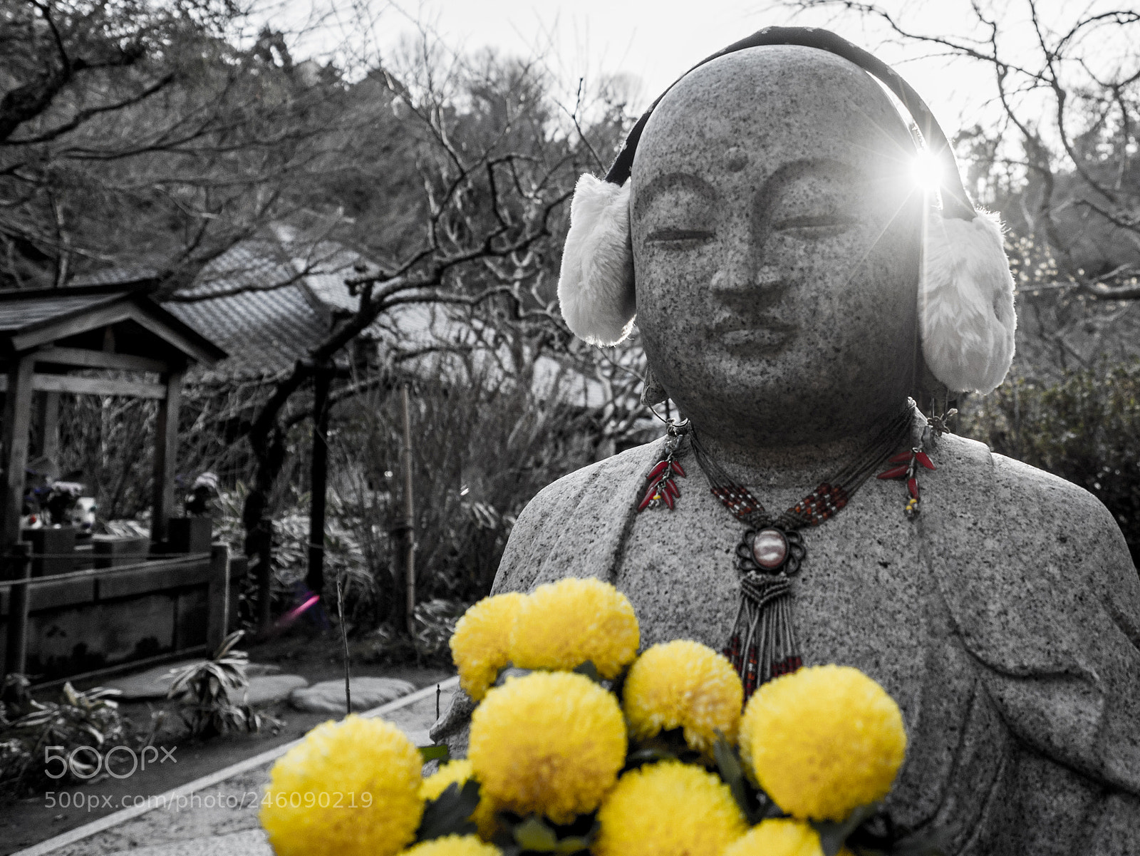 Olympus OM-D E-M1 Mark II sample photo. Olympus digital camera photography
