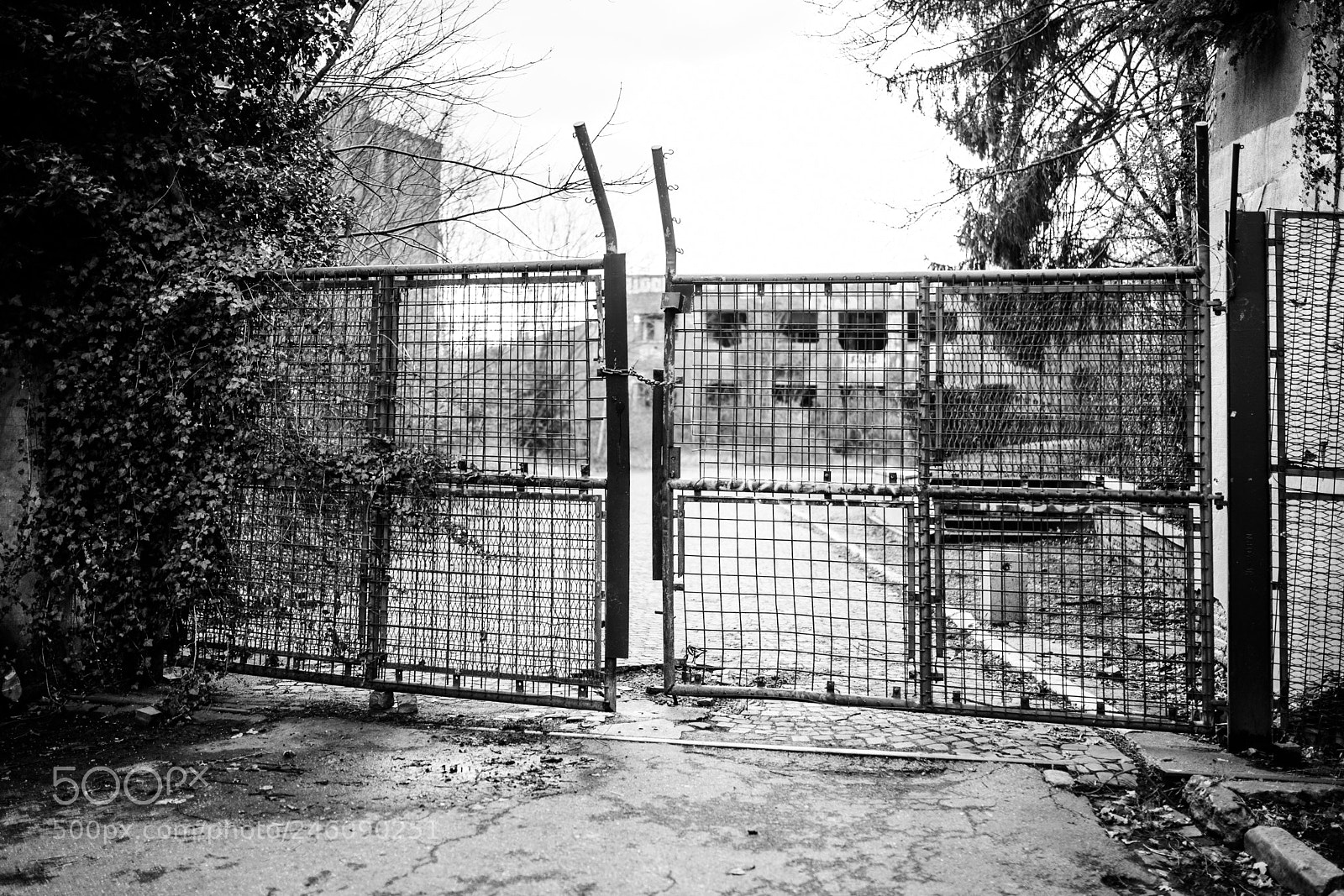 Nikon D750 sample photo. Closed fence! photography