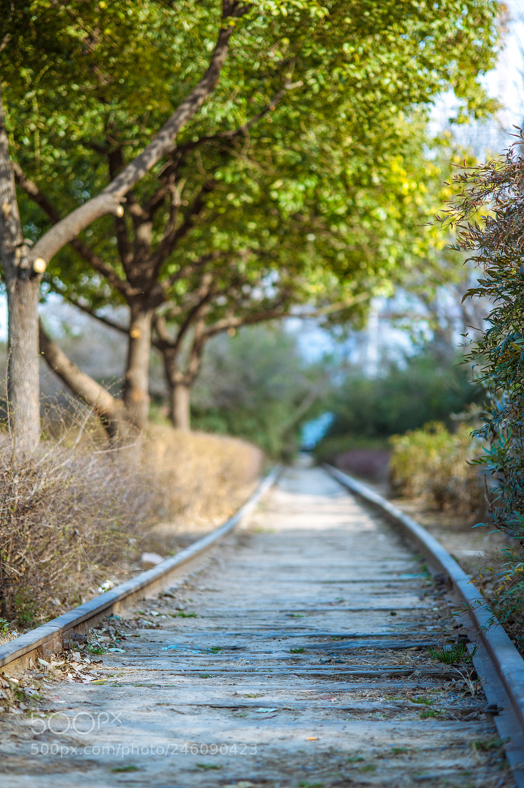 Nikon D700 sample photo. Untitled photography