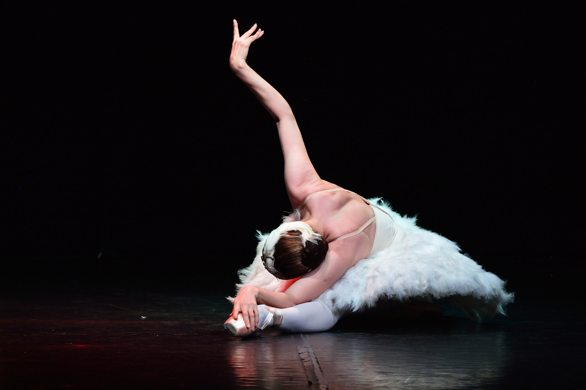Nikon Df sample photo. Dancing photography