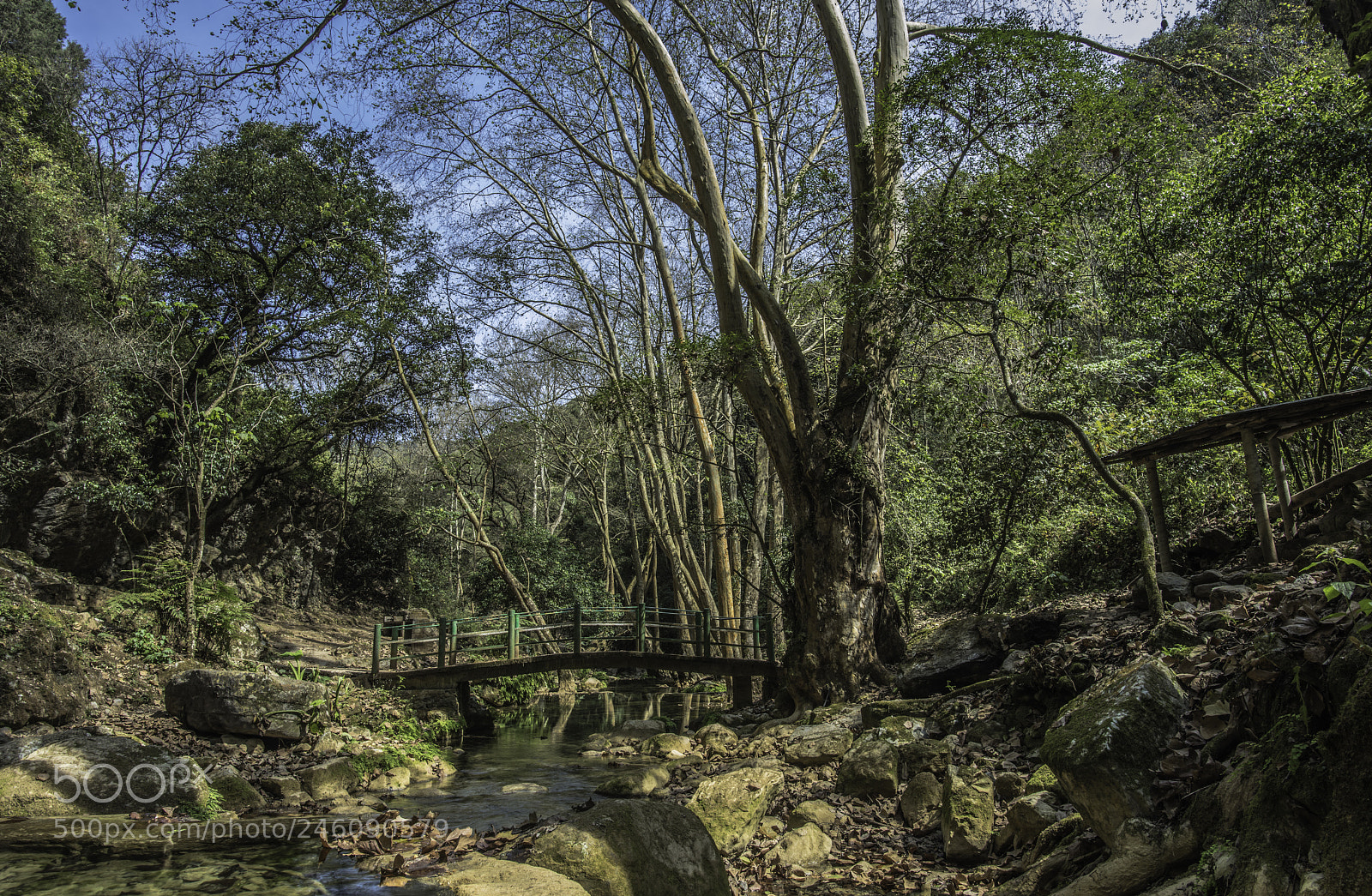 Nikon D810 sample photo. Little bridge photography