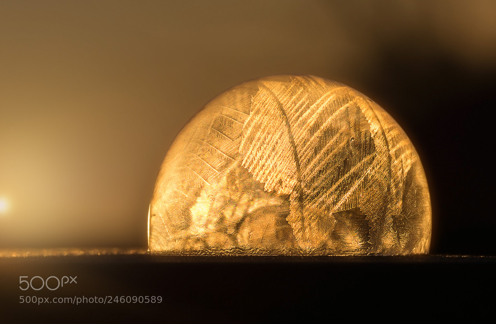 Nikon D7200 sample photo. Sunrise in a bubble photography