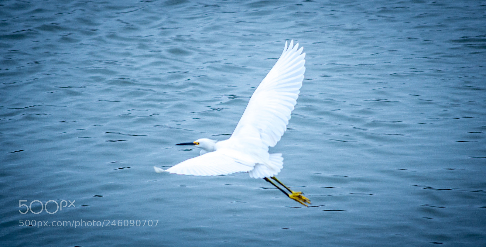 Nikon D3200 sample photo. Take off photography