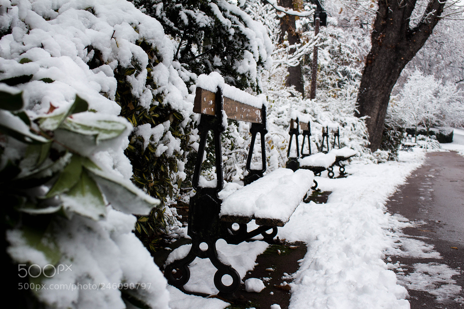 Canon EOS 700D (EOS Rebel T5i / EOS Kiss X7i) sample photo. Des bancs neigeux photography