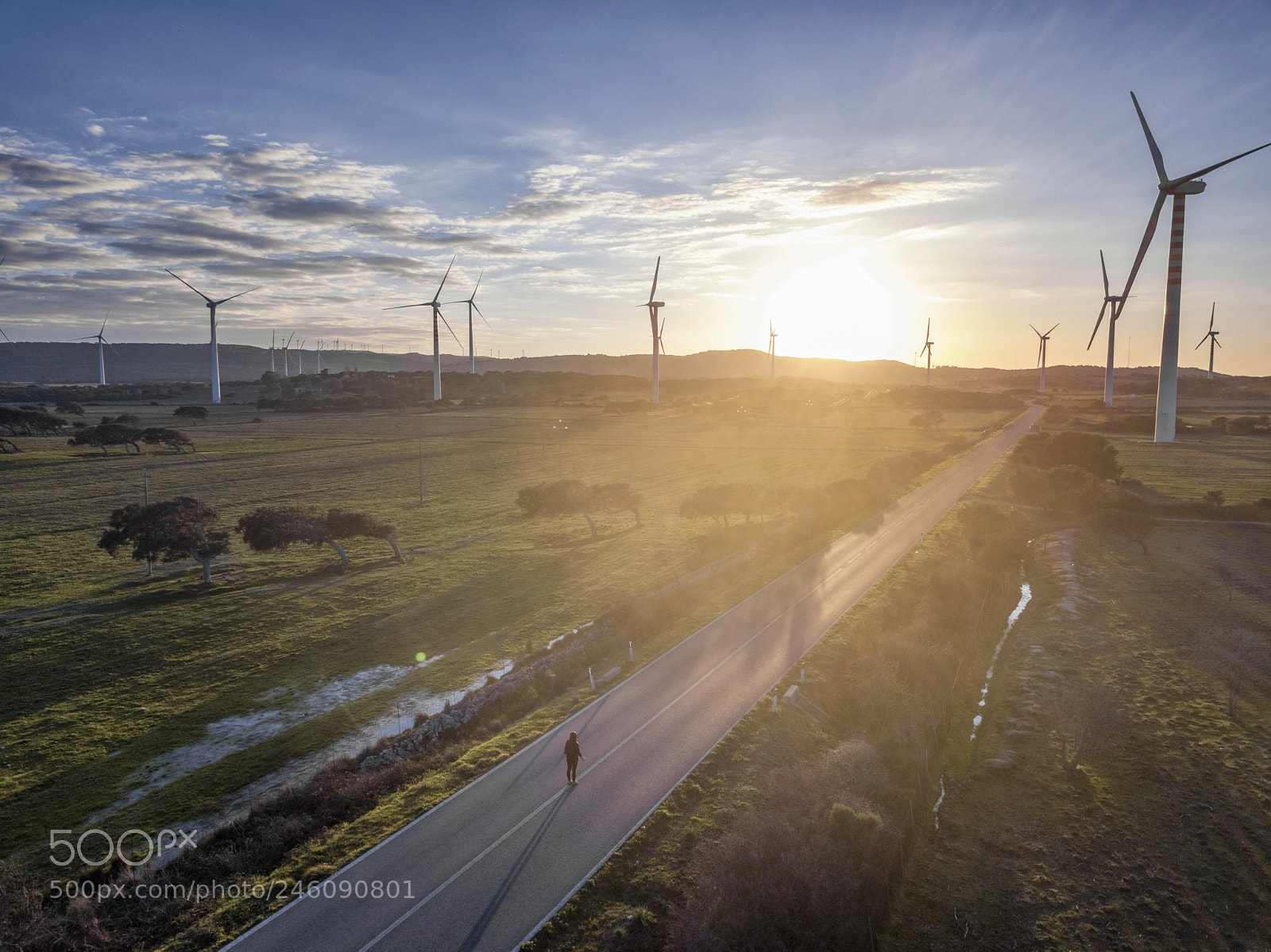 DJI FC220 sample photo. Vertical fan photography