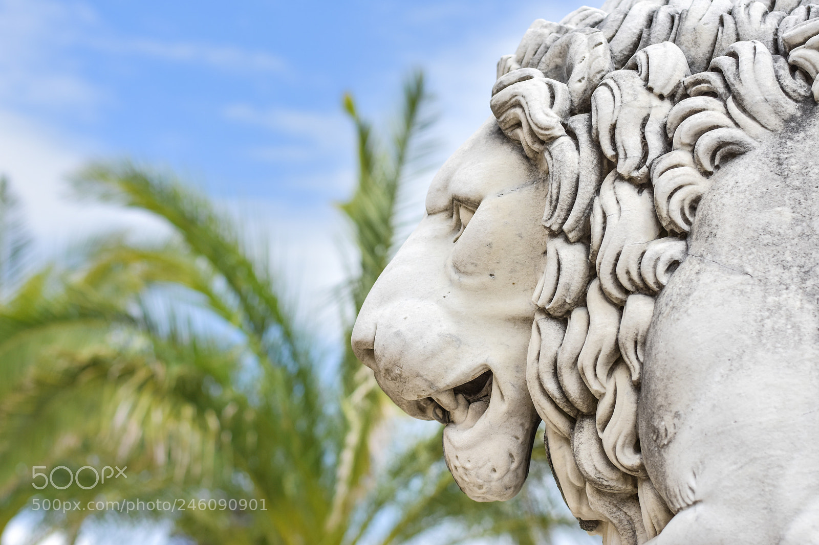 Nikon D7200 sample photo. Compiègne photography