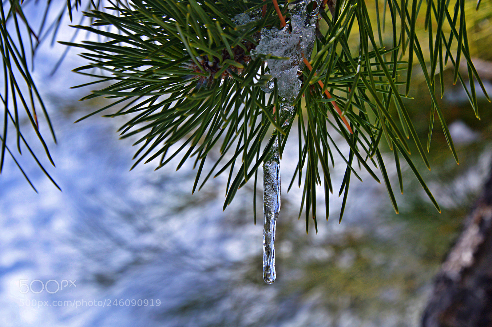 Nikon D3200 sample photo. Ice photography