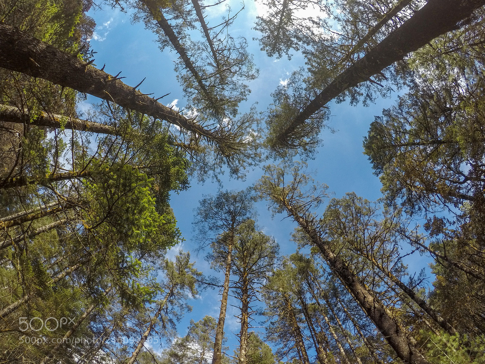 GoPro Hero5 Black sample photo. Yinshanping photography