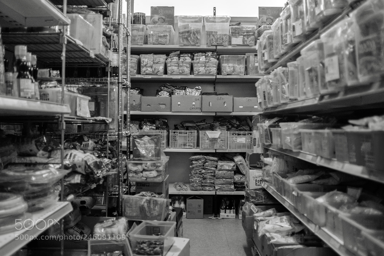 Fujifilm X100F sample photo. Organized chaos photography